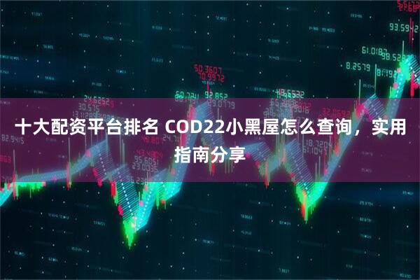 十大配资平台排名 COD22小黑屋怎么查询，实用指南分享