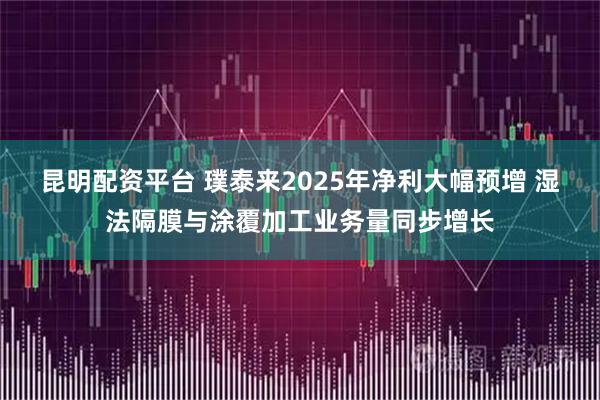 昆明配资平台 璞泰来2025年净利大幅预增 湿法隔膜与涂覆加工业务量同步增长